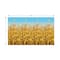 Beistle 4ft. x 30ft. Yellow Cornstalks Backdrop